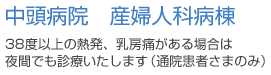 中頭病院　産婦人科病院