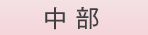 中部