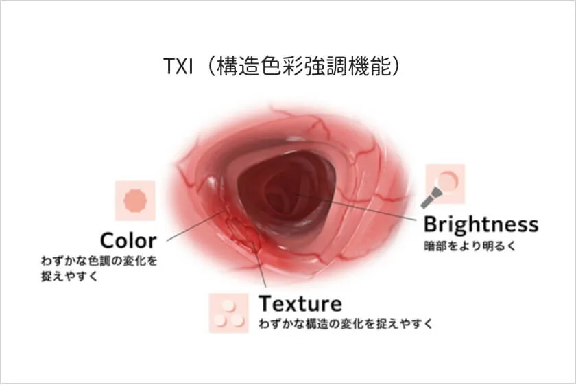 構造色彩強調機能 イメージ