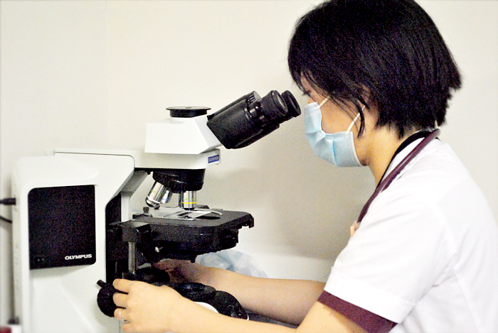 腎臓の組織を採取し顕微鏡で診断