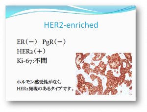 HER2―enriched