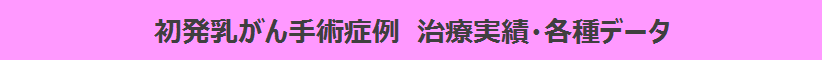 初発乳がん手術症例　治療実績・各種データ