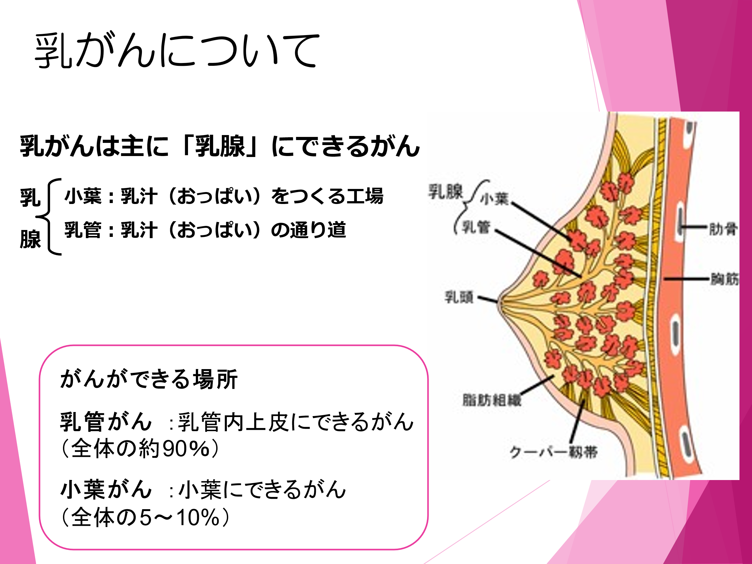 非 浸潤 性 乳 管 癌 手術 しない